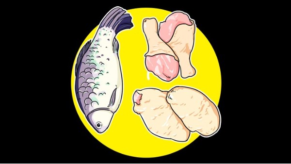 多吃鱼有利于脑部发育！但是有2种鱼要少吃