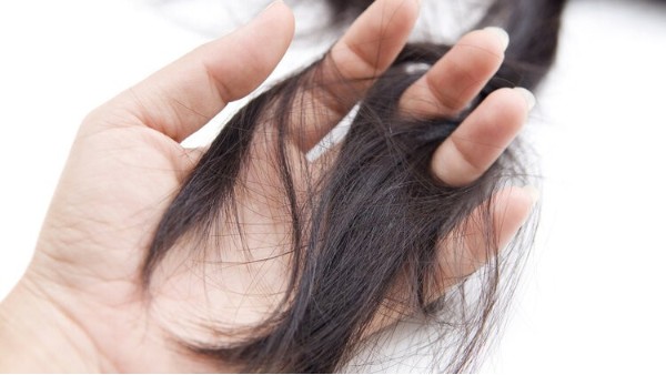 如何预防脱发？这5个习惯，不是靠一天两天就能养成的