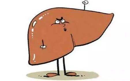 身体哪些部位出现情况表示肝脏出现问题