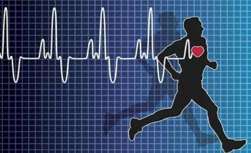 心跳的快慢会影响身体健康吗