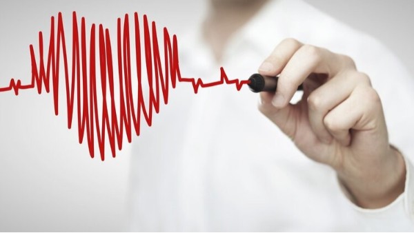 心跳快慢影响寿命长短？