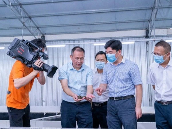 玉林市市长白松涛率队莅临科康科技集团陆川水蛭基地调研考察指导
